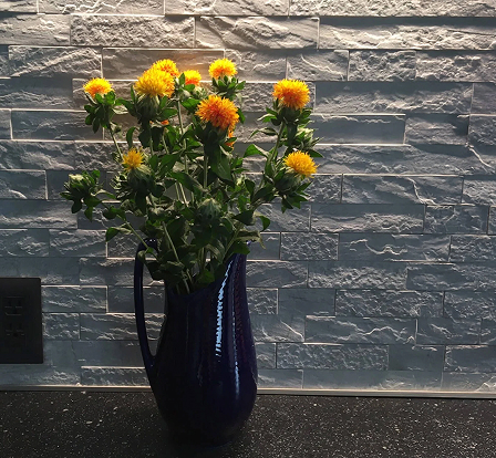 インテリア画像6